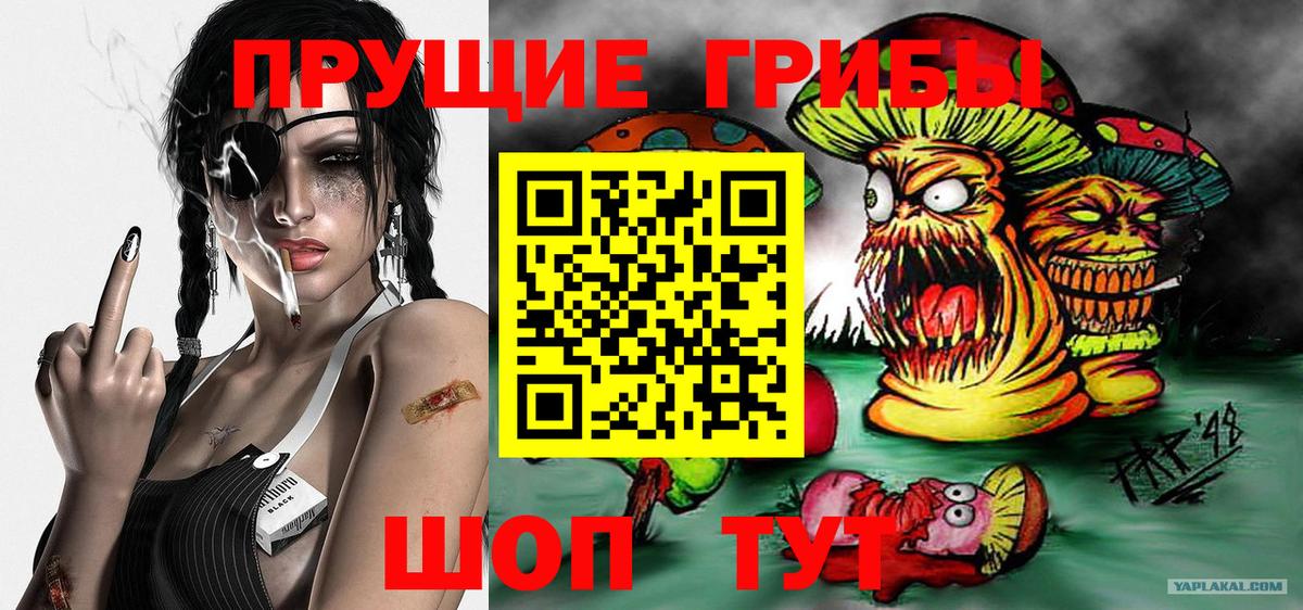 Лабинск  Галлюциногенные грибы Magic Shrooms  Псилоцибиновые грибы GOLDEN TEACHER  Вход с VPN 